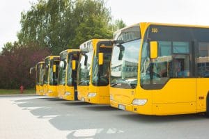 Row of yellow busses in a parking lot